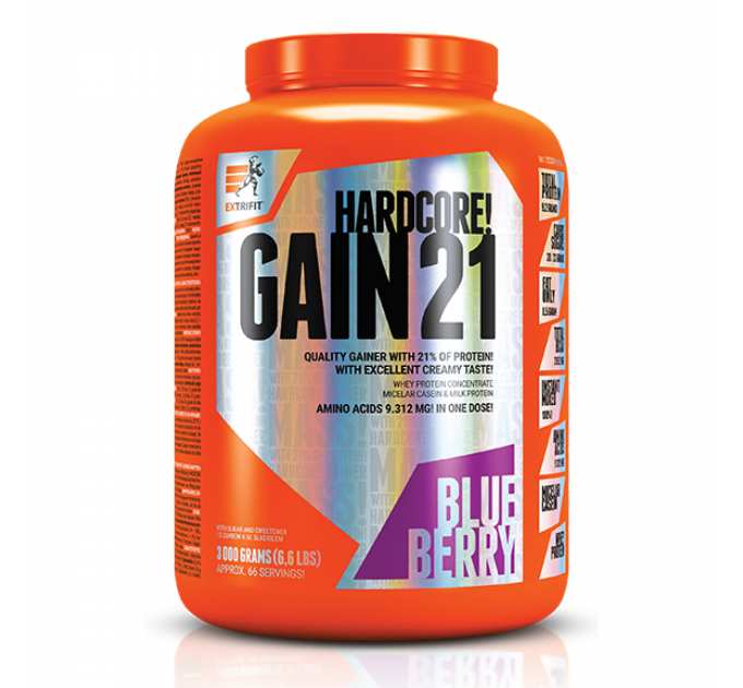 Hardcore Gain21 - 3000g Blueberry