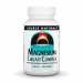 Magnesium Chelate Complex 100mg - 100 tabs