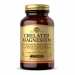 Chelated Magnesium - 100 Tab