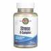 Stress B Complex - 100 tabs