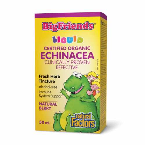 BigFriends Echinacea Alcohol-Free Fresh Herb Tincture for Kids - 50 ml (Пошкоджена банка) BigFriends Echinacea Alcohol-Free Fresh Herb Tincture for Kids - 50 ml (Пошкоджена банка)