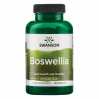 Boswellia 400 mg - 100caps