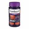 Immuno Forte gummies - 30 gummies