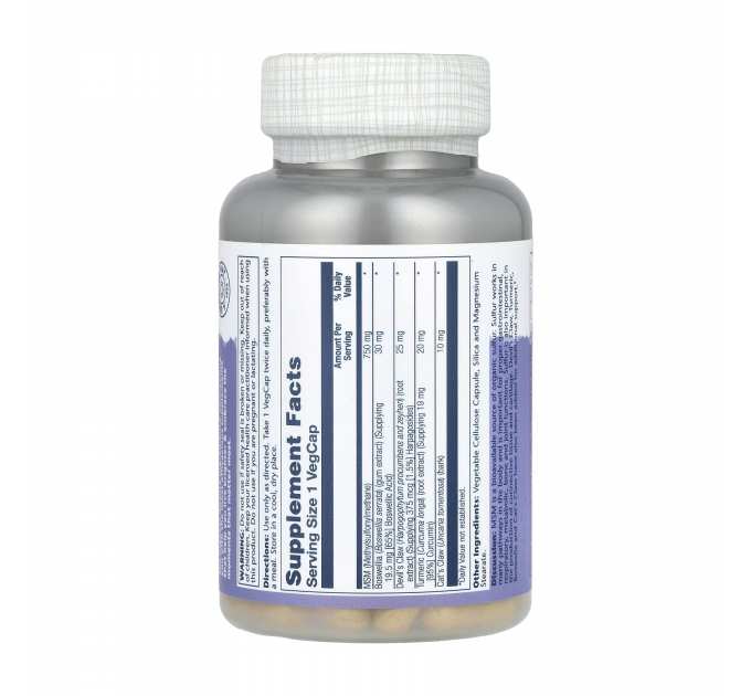 MSM 750mg - 90 cap