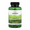 Ashwagandha 450mg - 100caps (Пошкоджена банка)