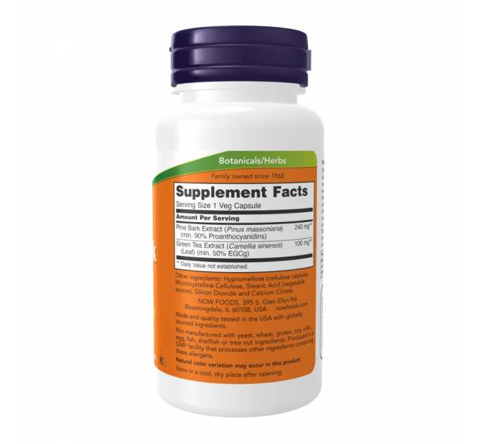 Pine Bark Extract 240mg - 90 caps