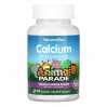 Sugarfree Calcium chewable - 90 tabs