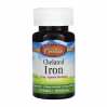 Chelated Iron - 100 tabs