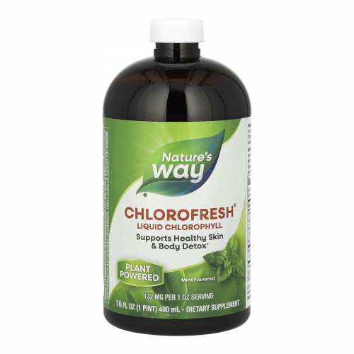 Chlorofresh® Liquid - 16 oz Mint (До 04.26) Chlorofresh® Liquid - 16 oz Mint (До 04.26)