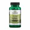 Coleus Forskohii 400 mg - 60 caps