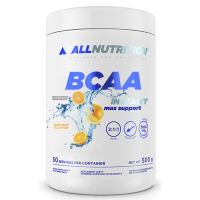 BCAA Max Support Instant - 500g Orange