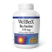 WellBetX Berberine 500mg - 120 vcaps