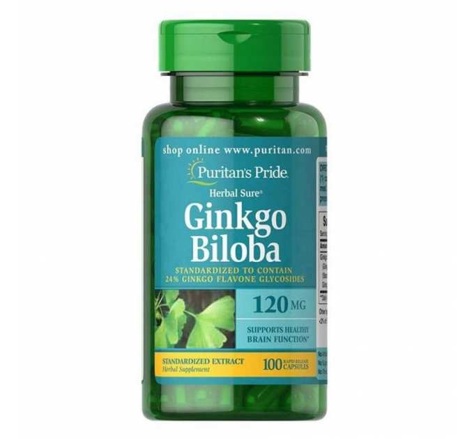 Ginkgo Biloba Standardized Extract 120mg - 100caps