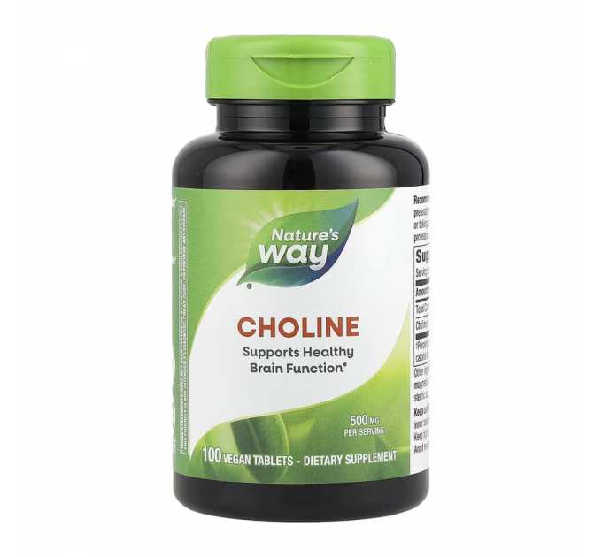 Choline 500 mg - 100 tabs