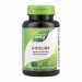 Choline 500 mg - 100 tabs