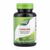 Choline 500 mg - 100 tabs