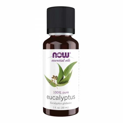 Eucalyptus Globulus Oil - 30ml (1fl.oz)