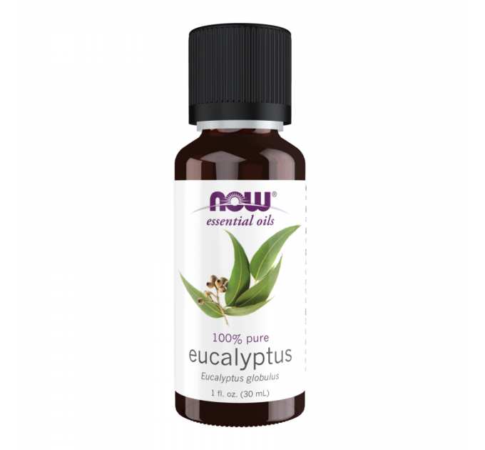 Eucalyptus Globulus Oil - 30ml (1fl.oz)