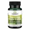 Chamomile Flower Extract Standardized Apigenin 500 mg - 60caps