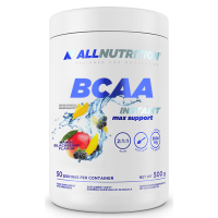 BCAA Max Support Instant - 500g Mango Blackberry (До 10.26)