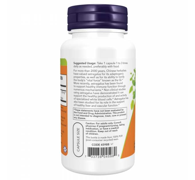Astragalus Extract 500mg - 90vcaps