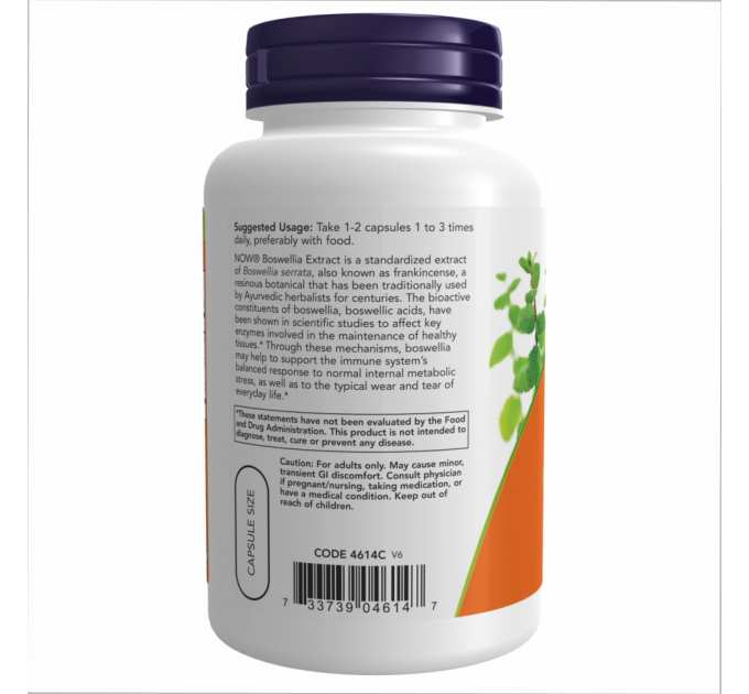 Boswellia Extract 250 mg - 120 vcaps