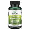 Tribulus Terrestris Extract 500mg - 60caps