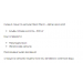 Stark Alpha Lipoiс Acid ( ALA ) 300mg - 60tab