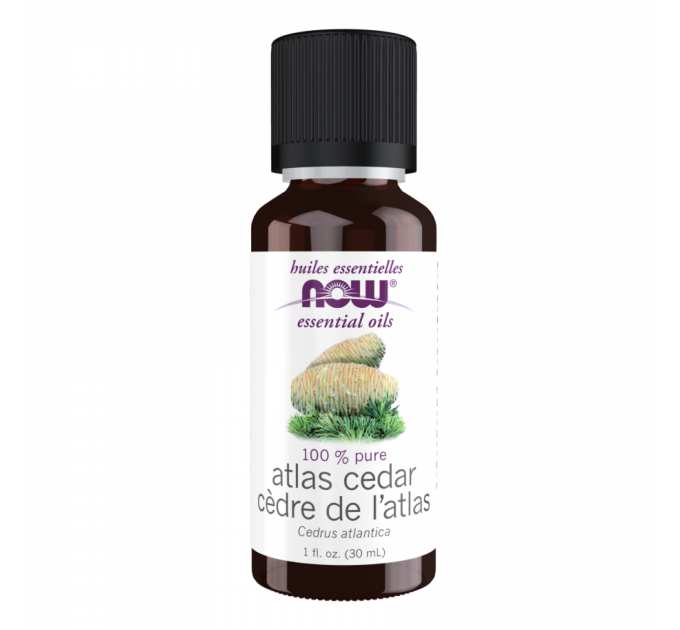 Atlas Cedar Oil - 30ml (1fl.oz)