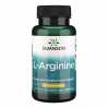 L-Arginine 500 mg - 100 Capsules