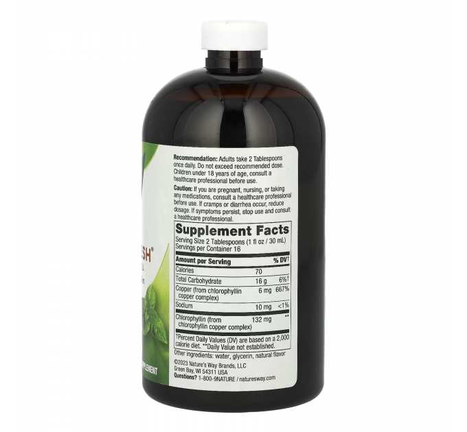 Chlorofresh Liquid - 16 oz Mint