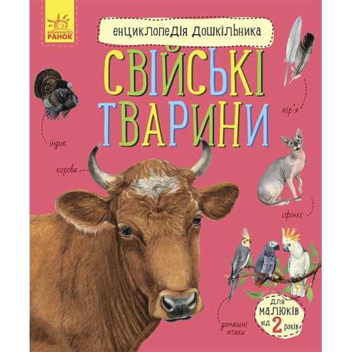 Энциклопедия дошкольника 