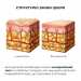 Антицелюлітний експрес набір Hillary Anti-Cellulite EXPRESS Sculpt Set