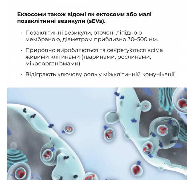 Антигравітаційна моделююча сироватка з екзосомами центелли для обличчя та шиї Hillary ReNuAge ContourLift Serum, 30 мл