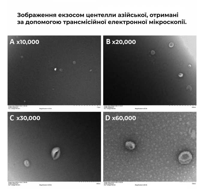 Антигравітаційна моделююча сироватка з екзосомами центелли для обличчя та шиї Hillary ReNuAge ContourLift Serum, 30 мл