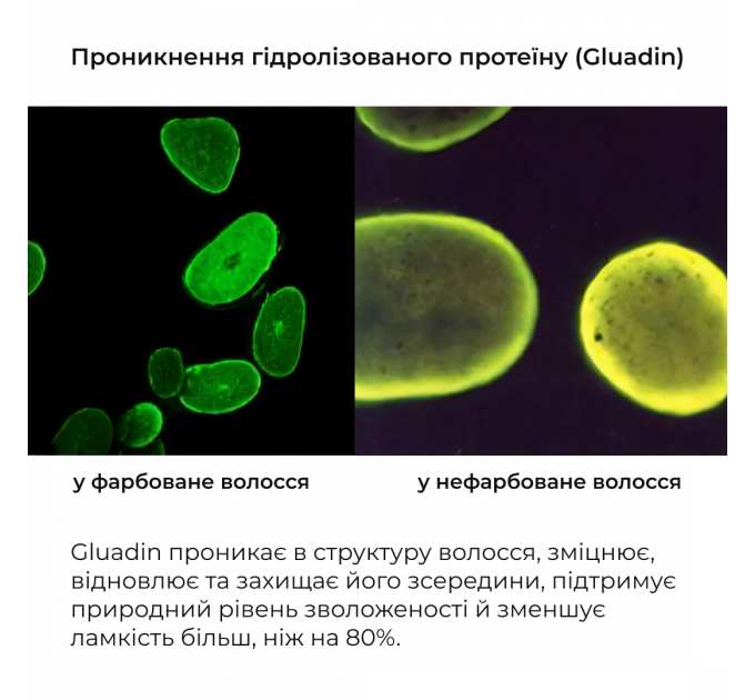 Шампунь та сироватка для волосся Concentrate Serenoa + кондиціонер проти випадіння волосся