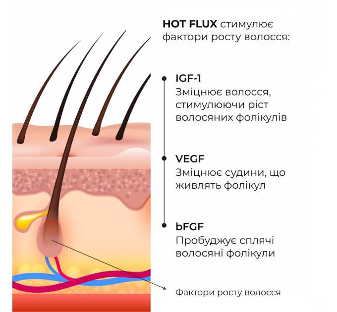 Комплекс для глибокого очищення та відновлення волосся і шкіри голови з термозахистом Hillary Deep Cleanse & Hair Restoration Set with Heat Protection