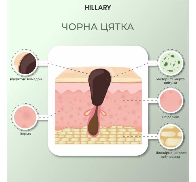 Набір для живлення та зволоження жирної шкіри восени Hillary Autumn nutrition and hydration for oil skin