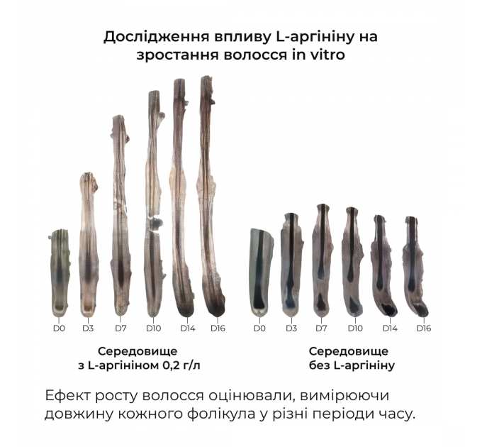 Сироватка для волосся Concentrate Serenoa + Шампунь для всіх типів волосся Nori Micellar та гребінь