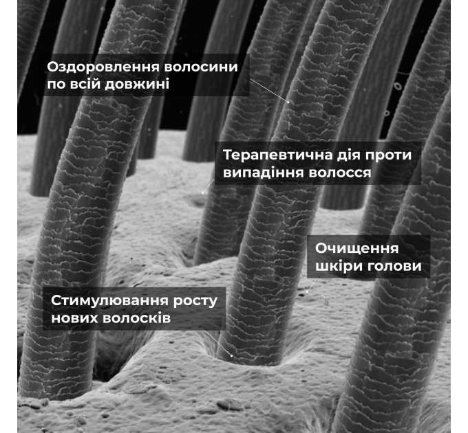 Сироватка для волосся Concentrate Serenoa + Шампунь для всіх типів волосся Nori Micellar та гребінь