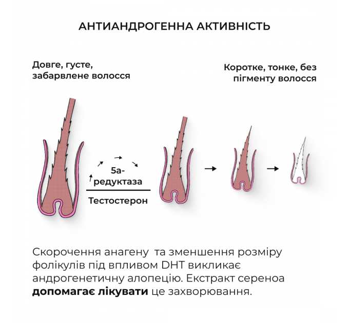 Комплекс проти випадіння волосся Hillary Serenoa &amp; РР Hair Loss Control