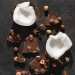 Гранола Шоколад та Кокос Gregory Mill Chocolate Coconut, 1000 г + 3D-іграшка в подарунок