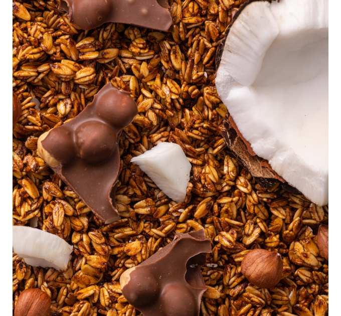 Гранола Шоколад та Кокос Gregory Mill Chocolate Coconut, 1000 г + 3D-іграшка в подарунок