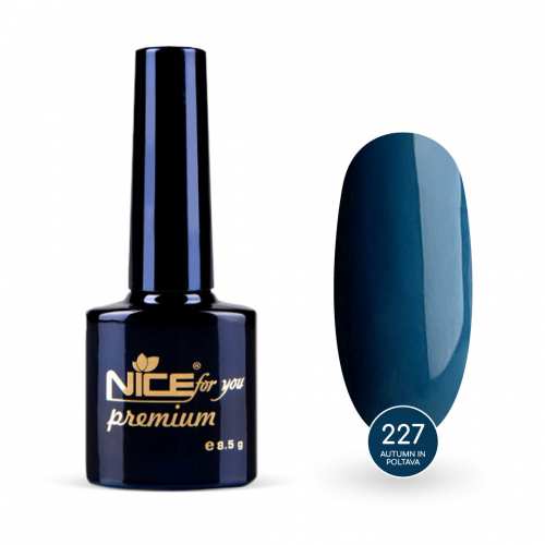 Гель-лак Nice for you Autumn in Poltava Premium №227 Серый 8.5 г