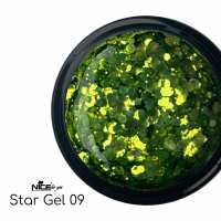 Стар гель Nice for you Star gel №09 Салатовый 5 г