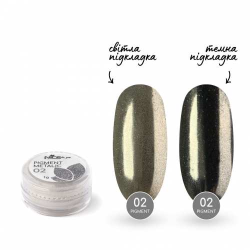 Зеркальная пудра Nice for you №02 Серебристая 1 г